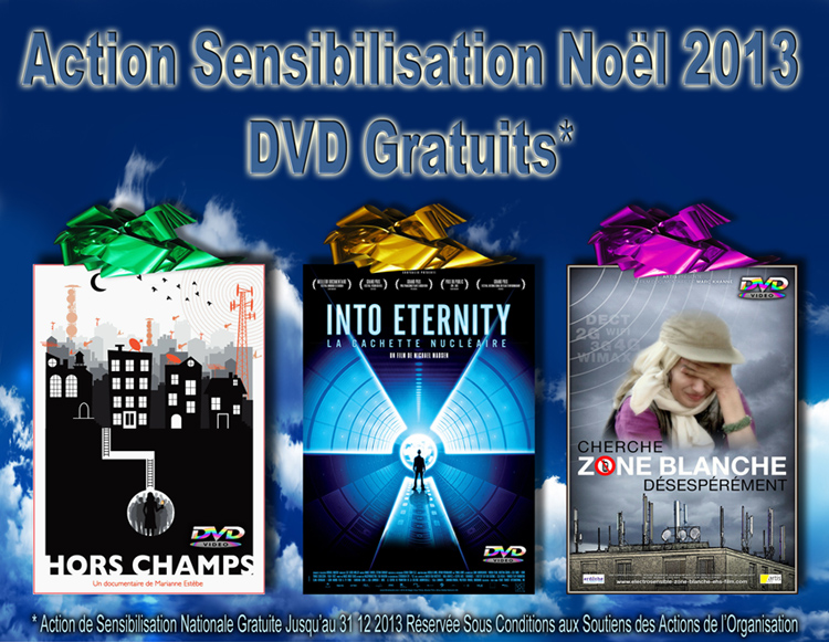 Action_Gratuite_Noel_2013_DVD_Sensibilisation_flyer_750.jpg